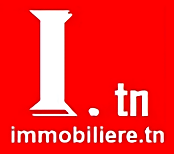 immobiliere